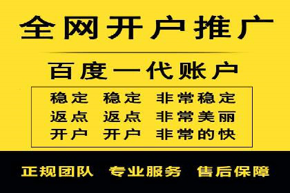百度竞价开户的五大成功案例：如何进行精准投放？